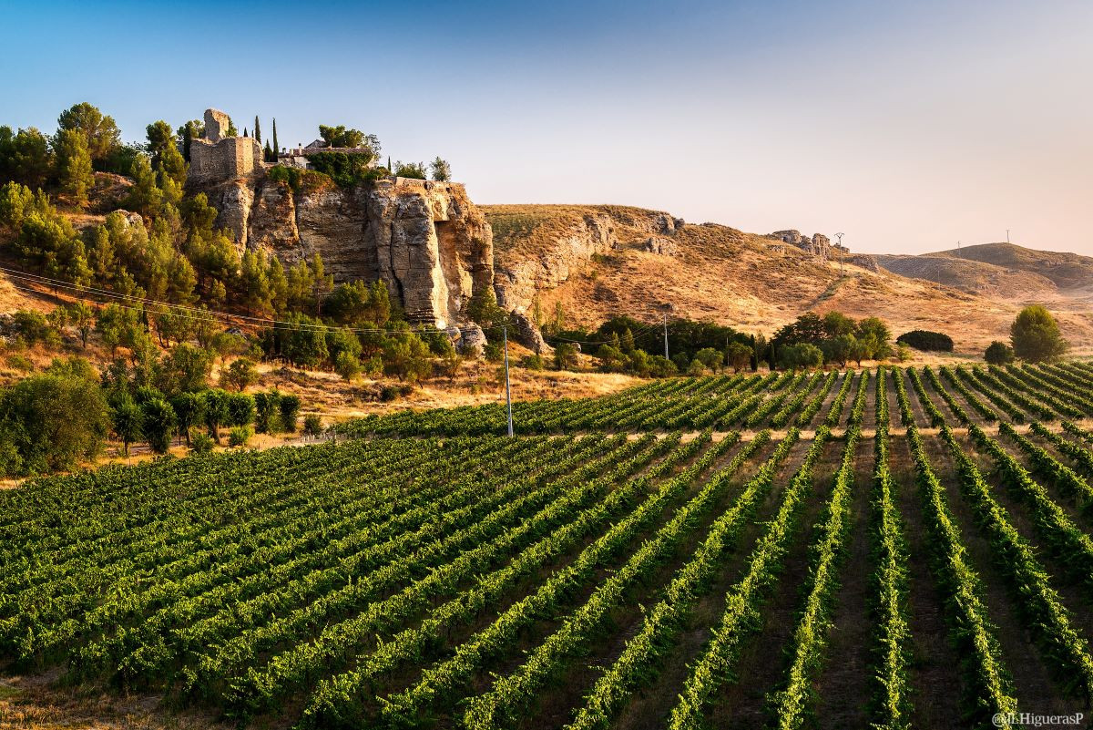 Madrid: es tiempo de vendimia