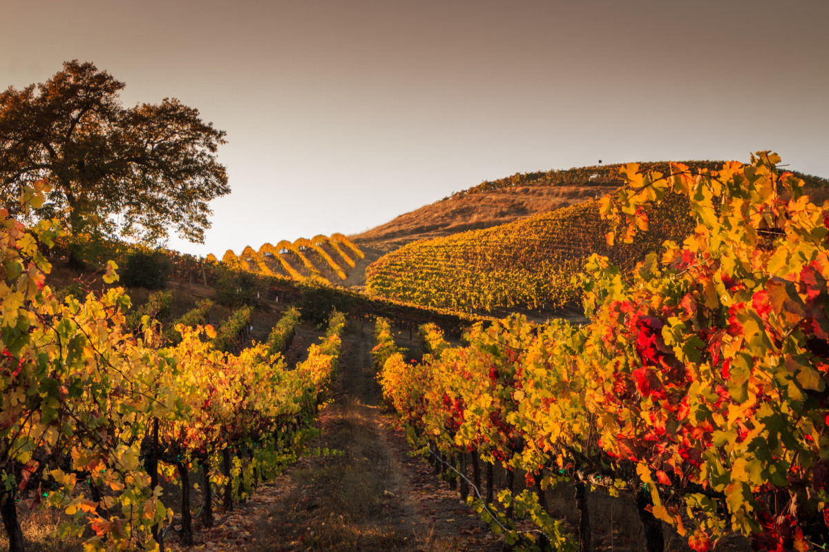 Once escapadas en España que hacen del otoño la mejor estación para viajar