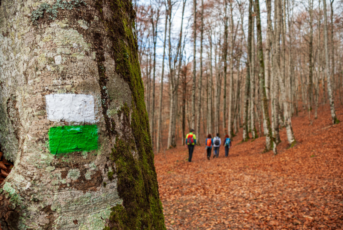 Once escapadas en España que hacen del otoño la mejor estación para viajar
