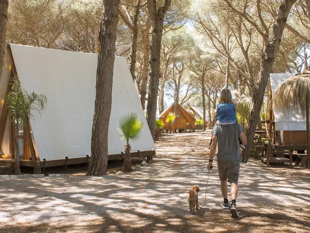¿Viajas con mascota? El camping gana posiciones como opción