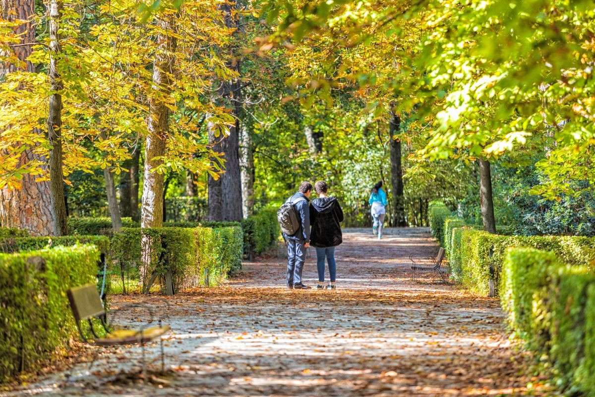 Madrid: firmemente, por el camino de la sostenibilidad