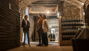 El enoturismo registra cifras históricas: más de 112 M € en ingresos y 3 millones de visitantes