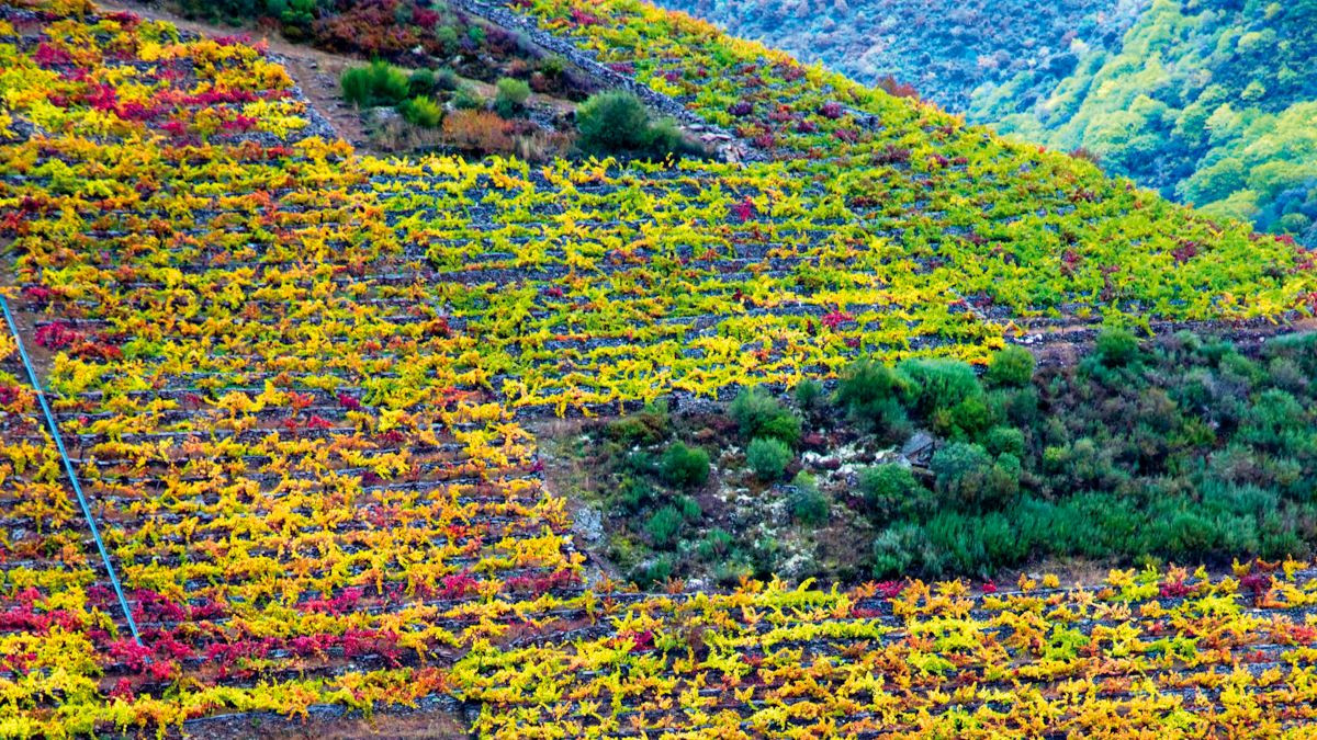 Galicia, destino sostenible y resiliente en su nueva campaña de promoción