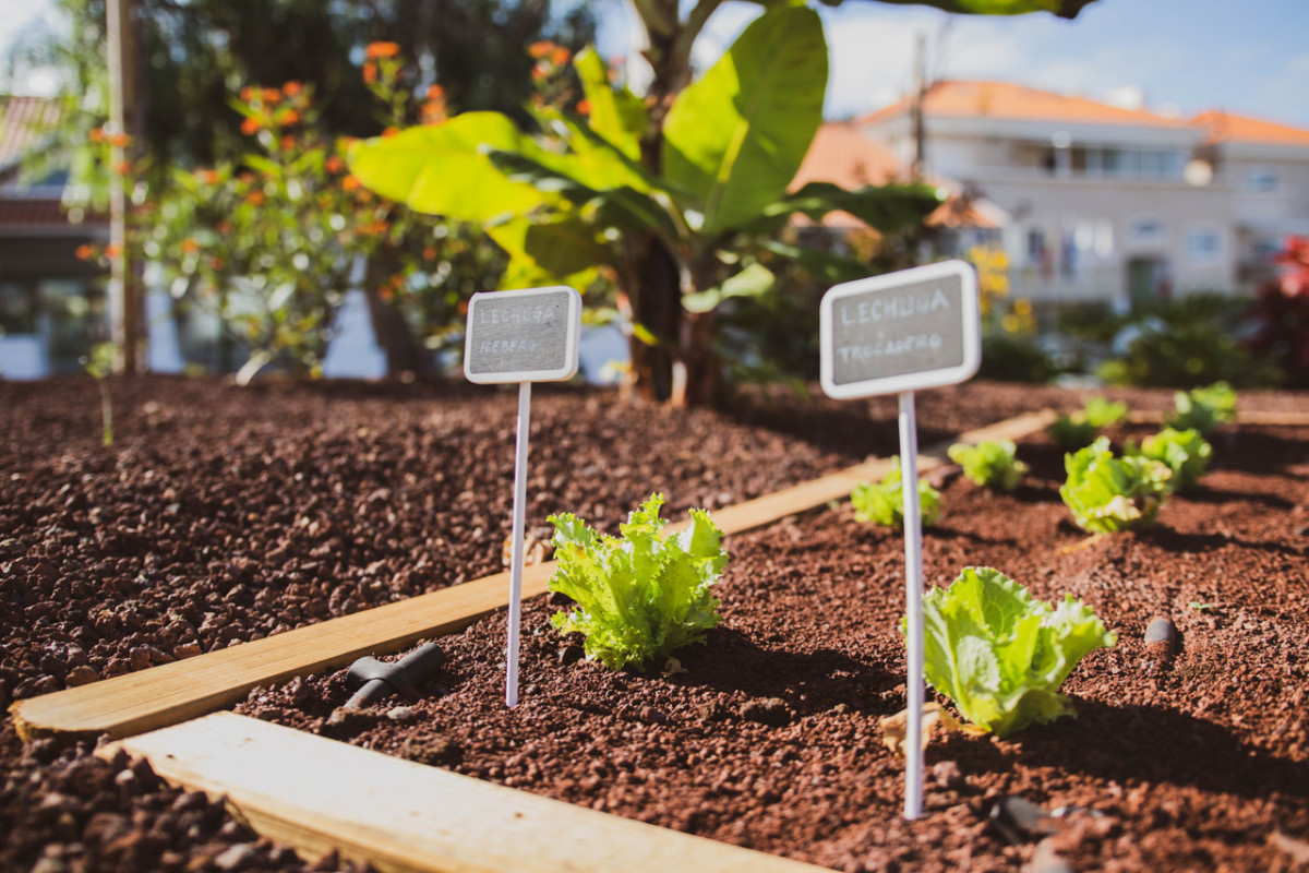 We Care, el programa de sostenibilidad con propósito en Canarian Hospitality