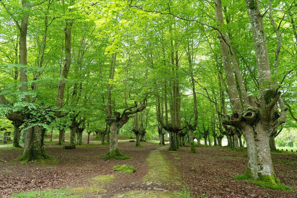 Hosteltur: noticias de turismo para profesionales