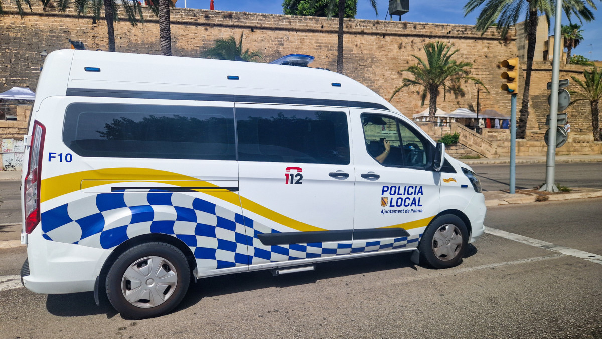 Balears destina por primera vez fondos del ITS a la lucha contra la oferta turística ilegal