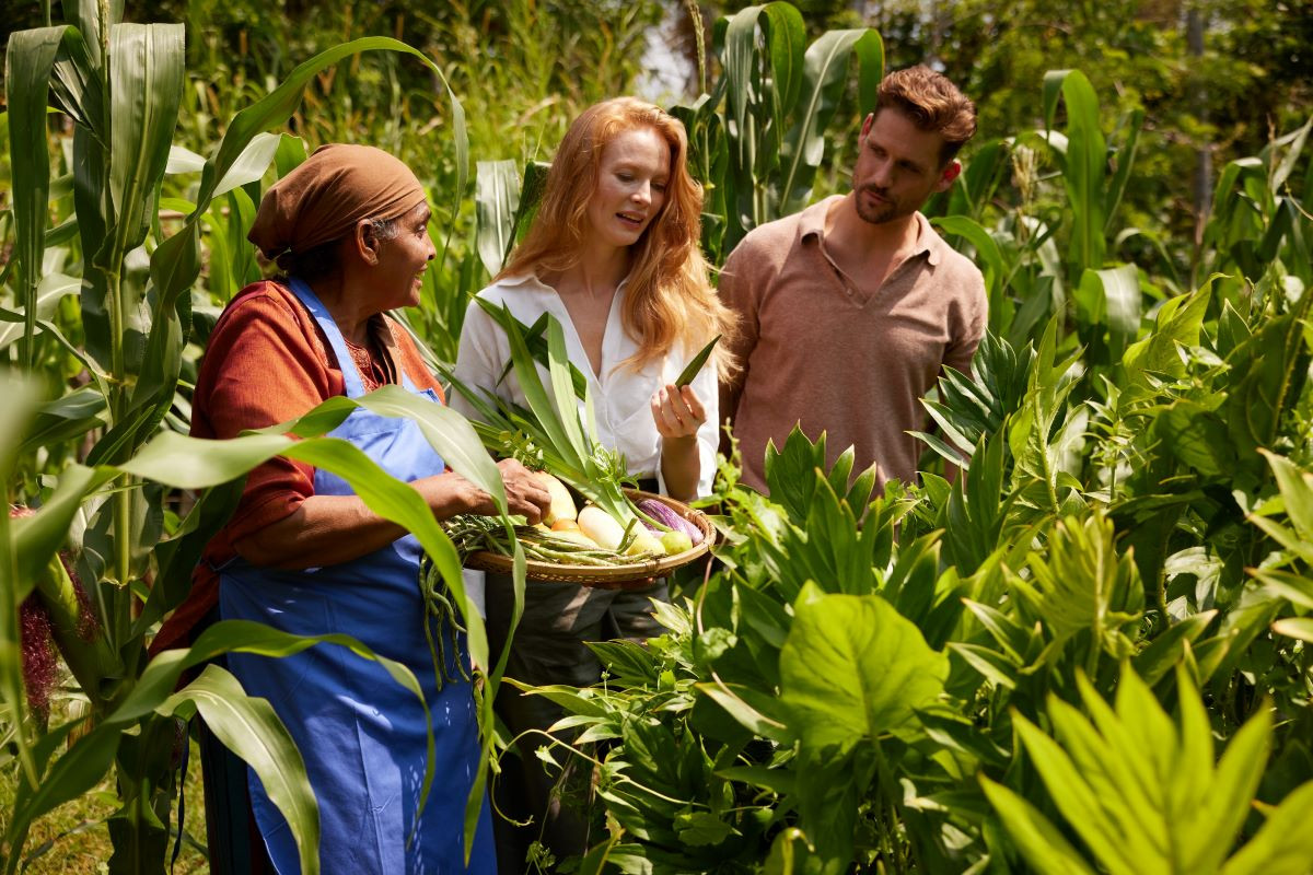 Minor Hotels identifica para 2026 un viajero que busca conexión emocional
