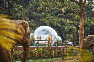 Minor Hotels identifica para 2026 un viajero que busca conexión emocional