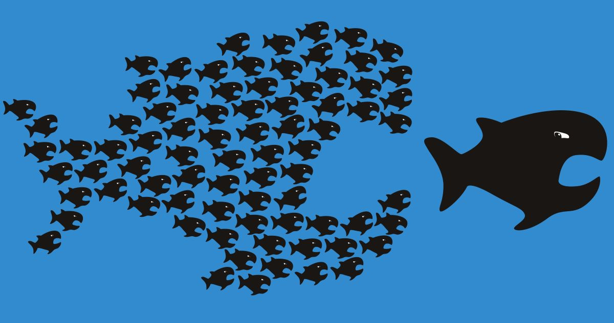 Alemania abre el camino: una sentencia contra Booking refuerza las reclamaciones de los hoteles espa&ntilde;oles