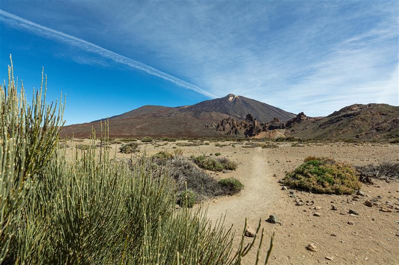 Tenerife refuerza su apuesta por la sostenibilidad como eje estrat&eacute;gico del turismo 