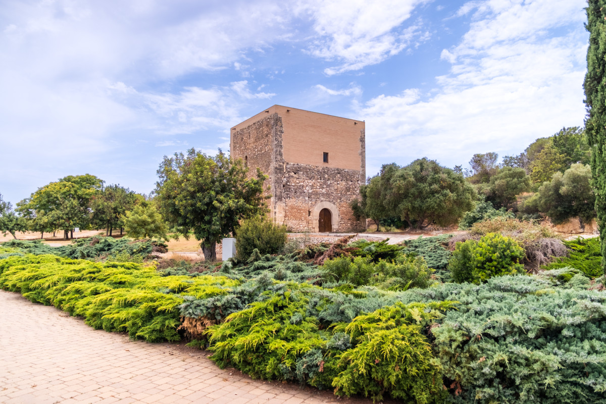 Vila-seca, la Pineda Platja: naturaleza, cultura y diversi&oacute;n para toda la familia 