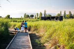 Vila-seca, la Pineda Platja: naturaleza, cultura y diversión para toda la familia 