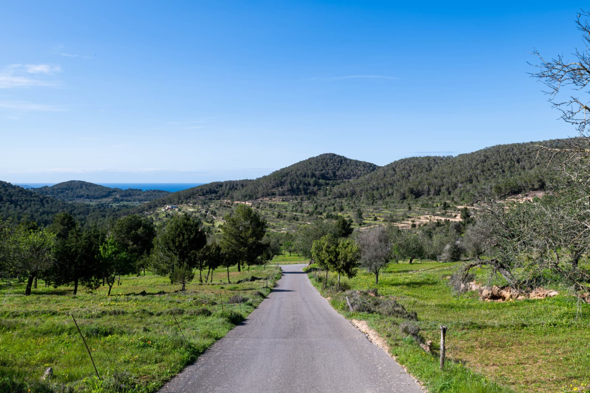 M&aacute;s orden, m&aacute;s seguridad y m&aacute;s calidad: Ibiza impulsa el Sello de Transporte Verificado 