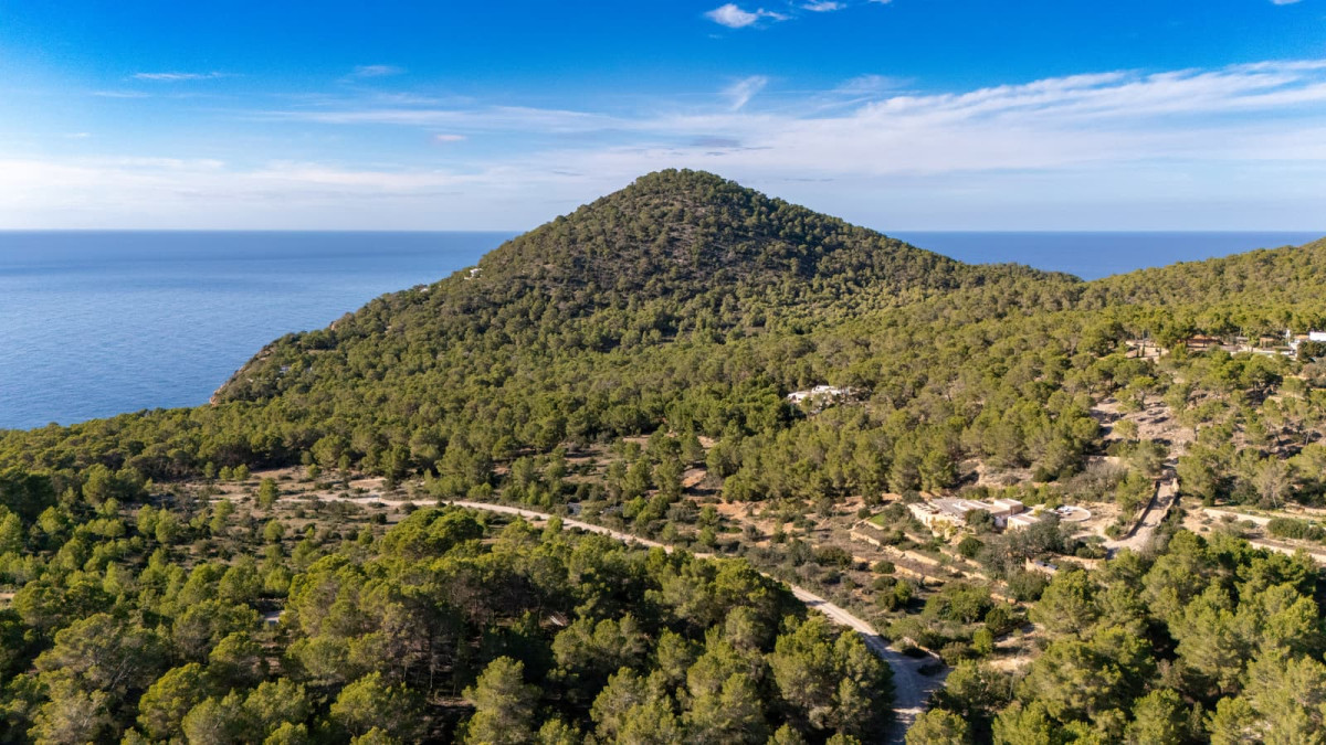 M&aacute;s orden, m&aacute;s seguridad y m&aacute;s calidad: Ibiza impulsa el Sello de Transporte Verificado 