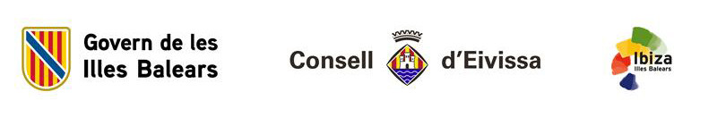 M&aacute;s orden, m&aacute;s seguridad y m&aacute;s calidad: Ibiza impulsa el Sello de Transporte Verificado 