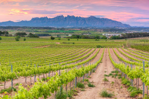 Cataluña abre ayudas de 25.000 € para pymes turísticas que apuesten por la innovación sostenible