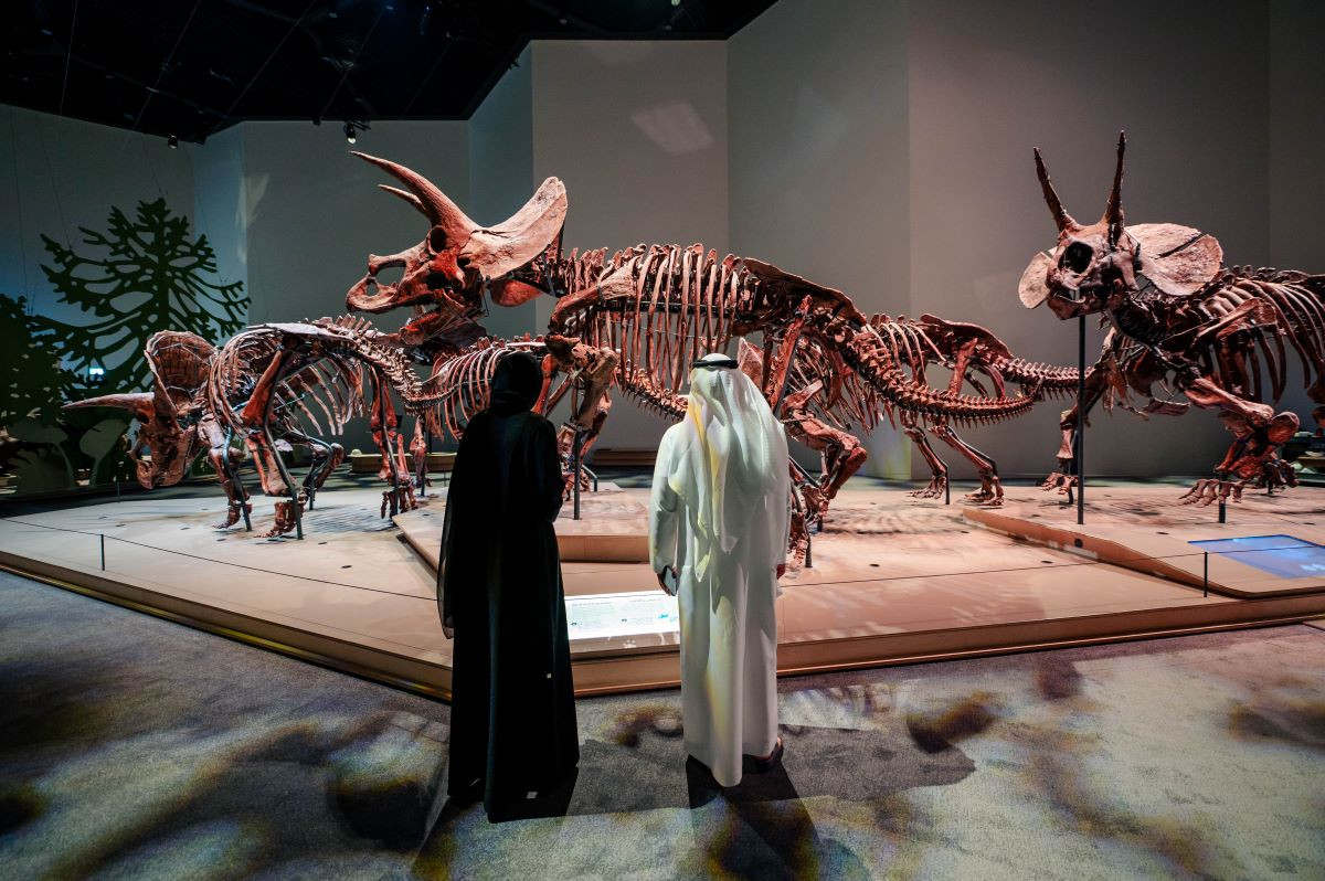 Gran expectaci&oacute;n en el turismo cultural con el nuevo Museo de Historia Natural de Abu Dabi
