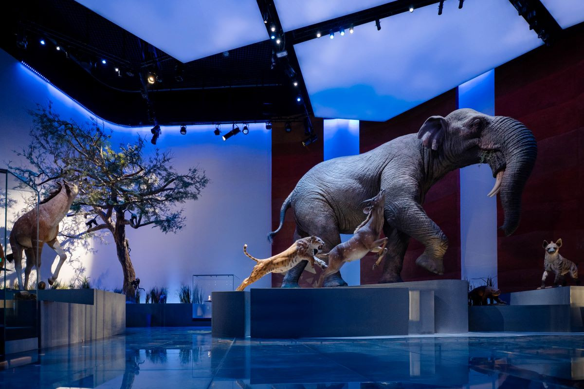 Gran expectaci&oacute;n en el turismo cultural con el nuevo Museo de Historia Natural de Abu Dabi