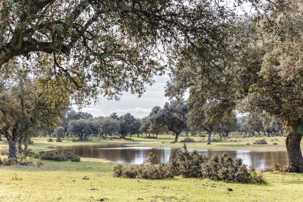 Nuevos formatos y productos redefinen la inversi&oacute;n en el sector hotelero