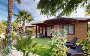 Los campings también se forman en el uso de la inteligencia artificial