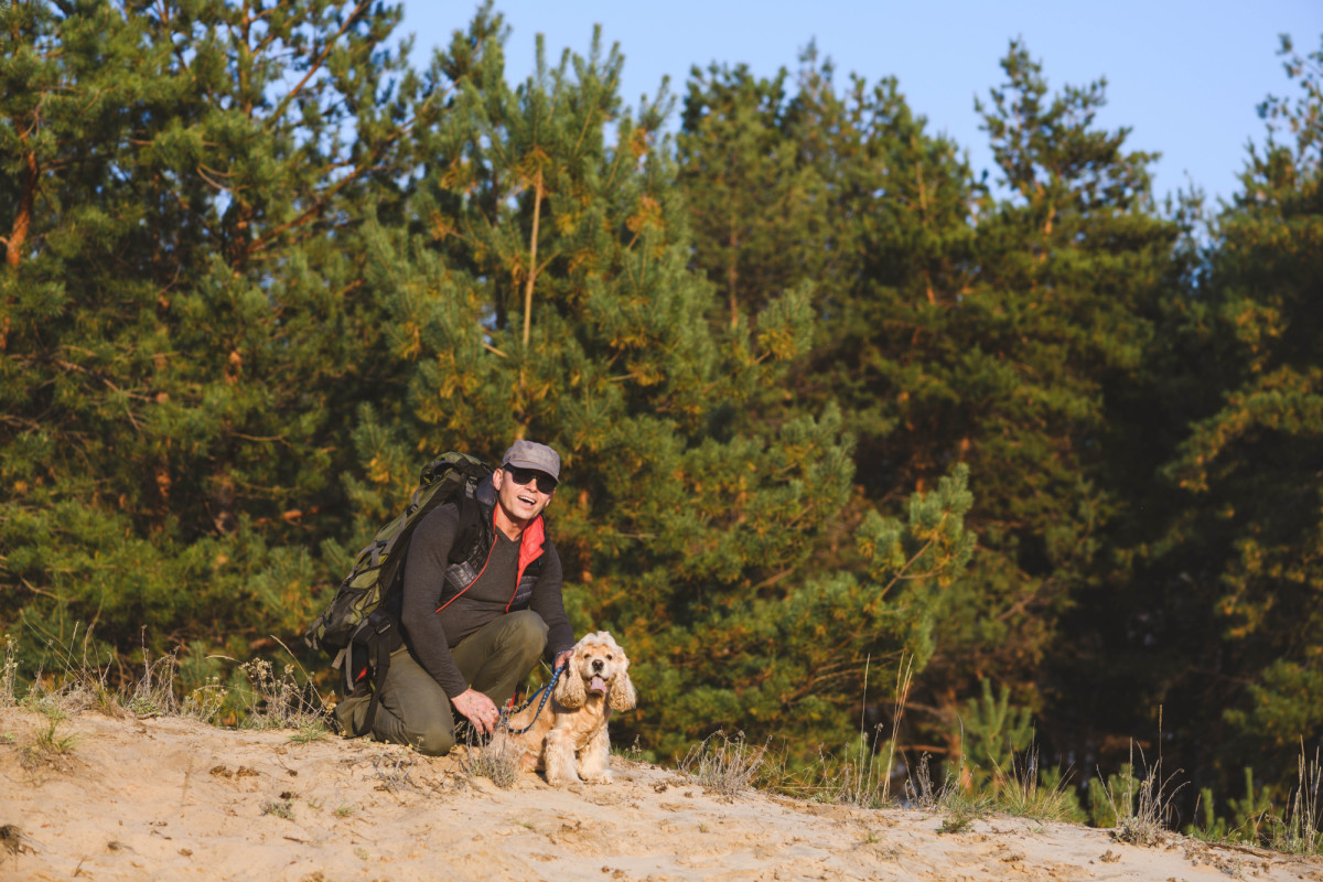 Senderismo en temporada de procesionaria: qu&eacute; saber antes de salir al monte (especialmente si vas con perro)