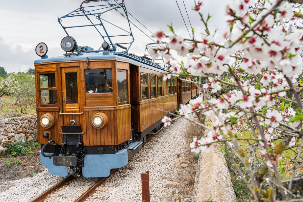 Almendros en flor en Espa&ntilde;a: cu&aacute;ndo florecen y d&oacute;nde ver la floraci&oacute;n en marzo