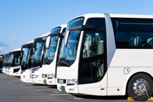 Hacienda suspende cautelarmente la licitación de Renfe para crear su empresa de autobuses