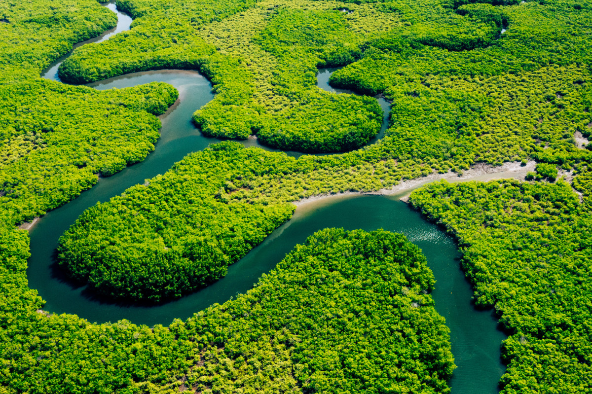 Los 10 r&iacute;os m&aacute;s largos del mundo: rutas naturales para viajar por la historia del planeta