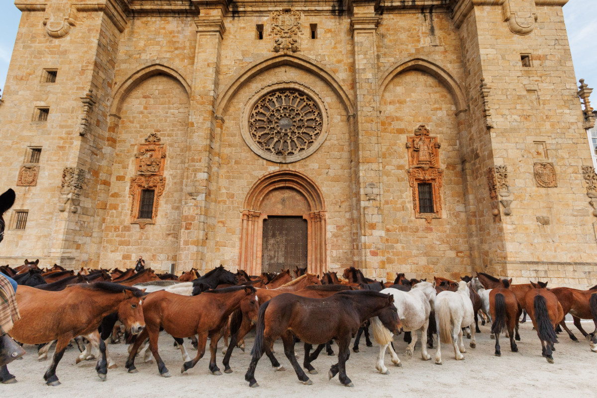 As San Lucas de Mondoñedo: 9 siglos de tradición festiva y ganadera