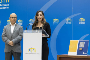 La Justicia avala la actuación del Gobierno de Canarias en la consulta pública para regular el alquiler vacacional