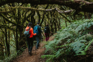 Naturaleza, descanso y gasto local: los tres puntales del perfil del ecoturista en España