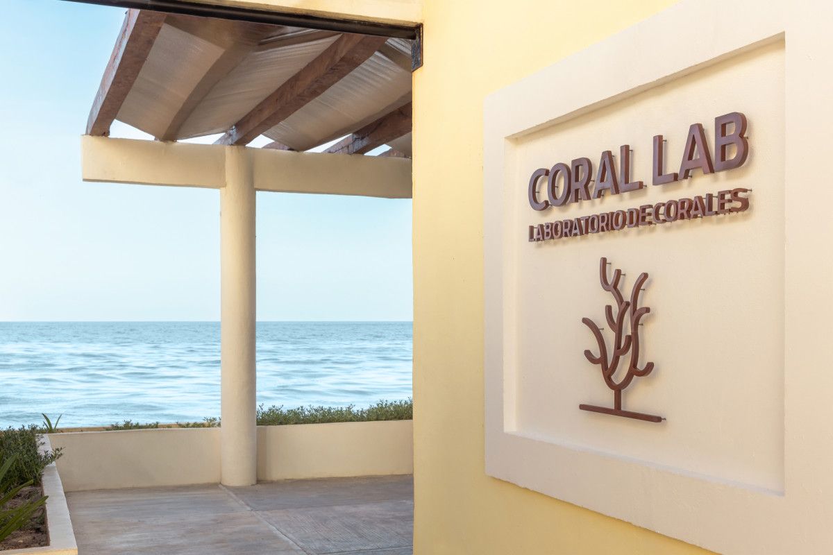 Wave of Change: c&oacute;mo Iberostar ha convertido la sostenibilidad en hoja de ruta global