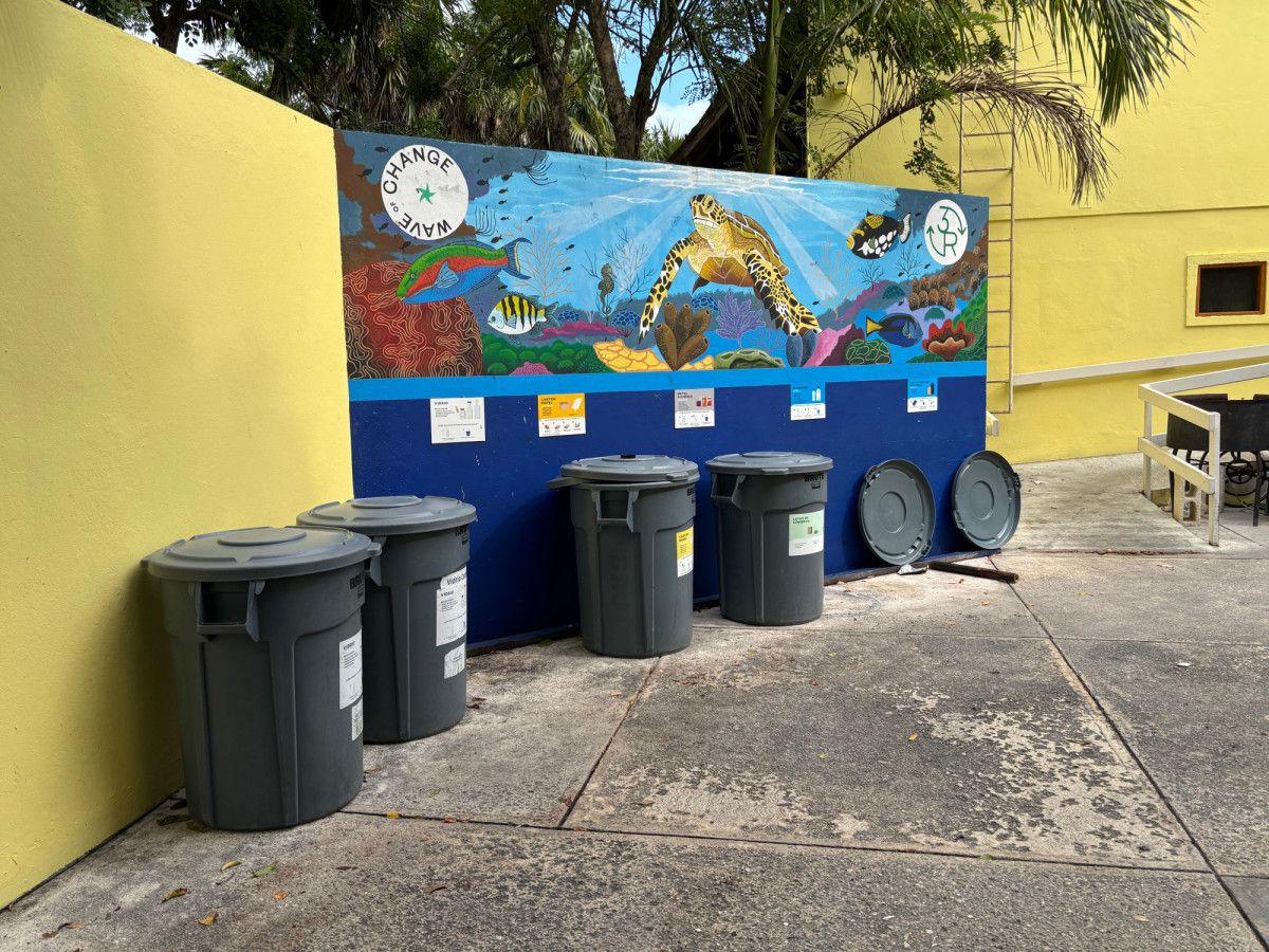 Wave of Change: c&oacute;mo Iberostar ha convertido la sostenibilidad en hoja de ruta global
