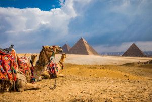 La estrategia con la que VECI acelera para hacerse más fuerte en Egipto