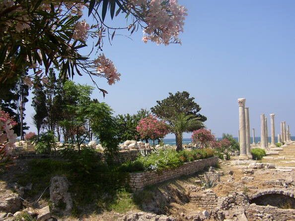 Qu&eacute; seis sitios ha incorporado la Unesco a su Lista del Patrimonio Mundial en Peligro