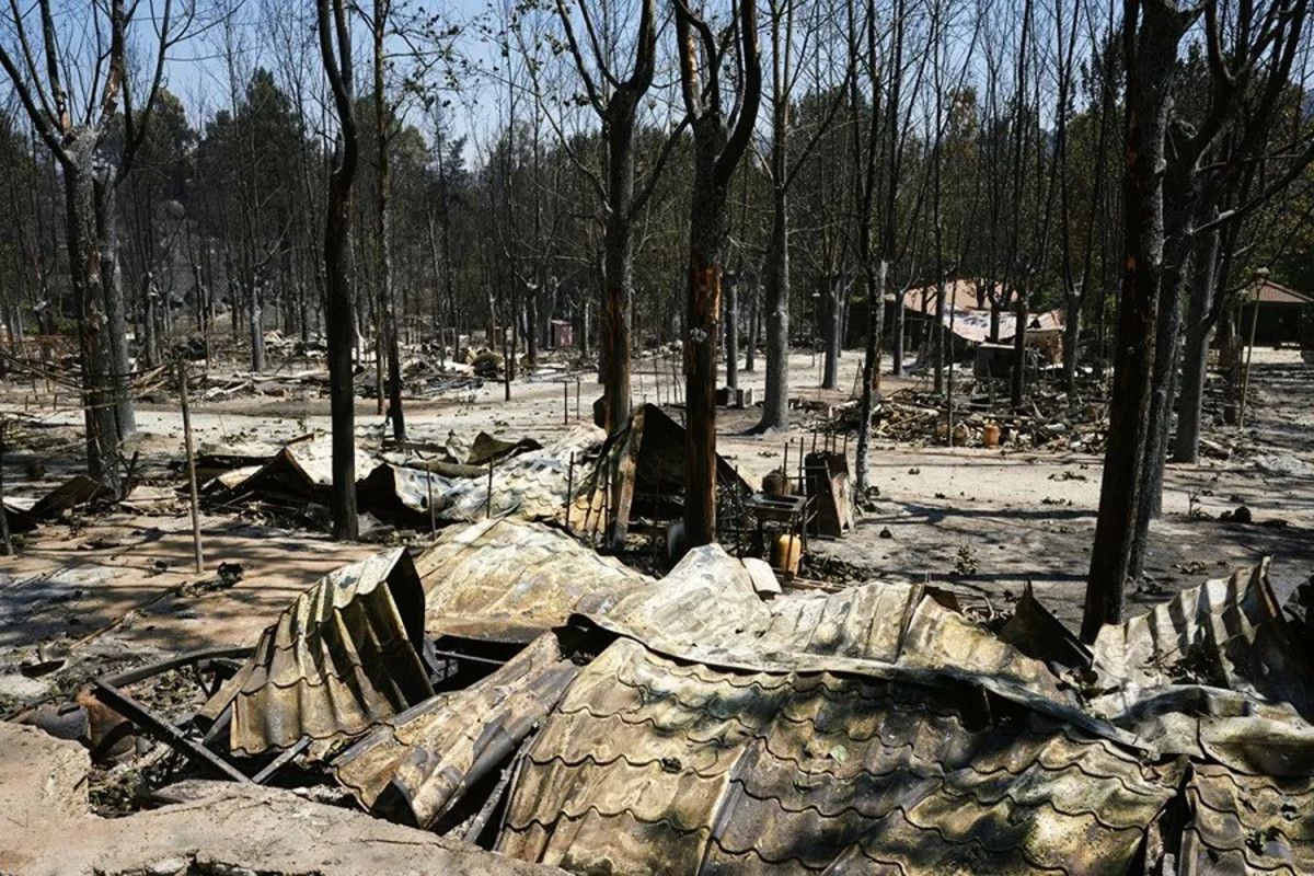 Ayuda jur&iacute;dica urgente para agencias golpeadas por los incendios