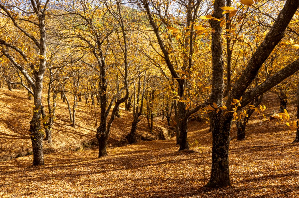 Costa del Sol en oto&ntilde;o: qu&eacute; ver m&aacute;s all&aacute; del mar