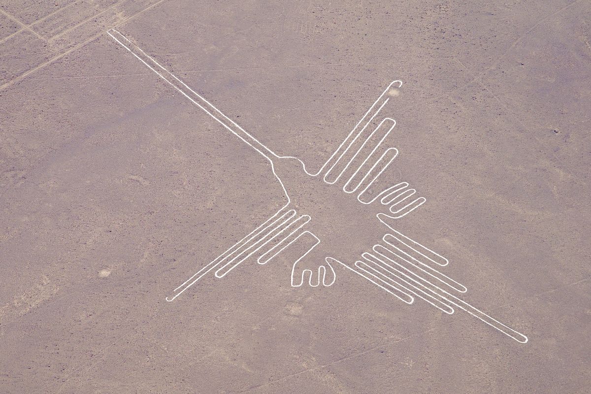 Perú suspende operaciones de la aerolínea Aerodiana tras accidente con 13 fallecidos en Nazca