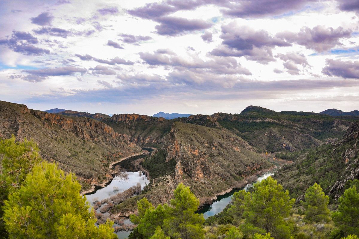 Elche de la Sierra