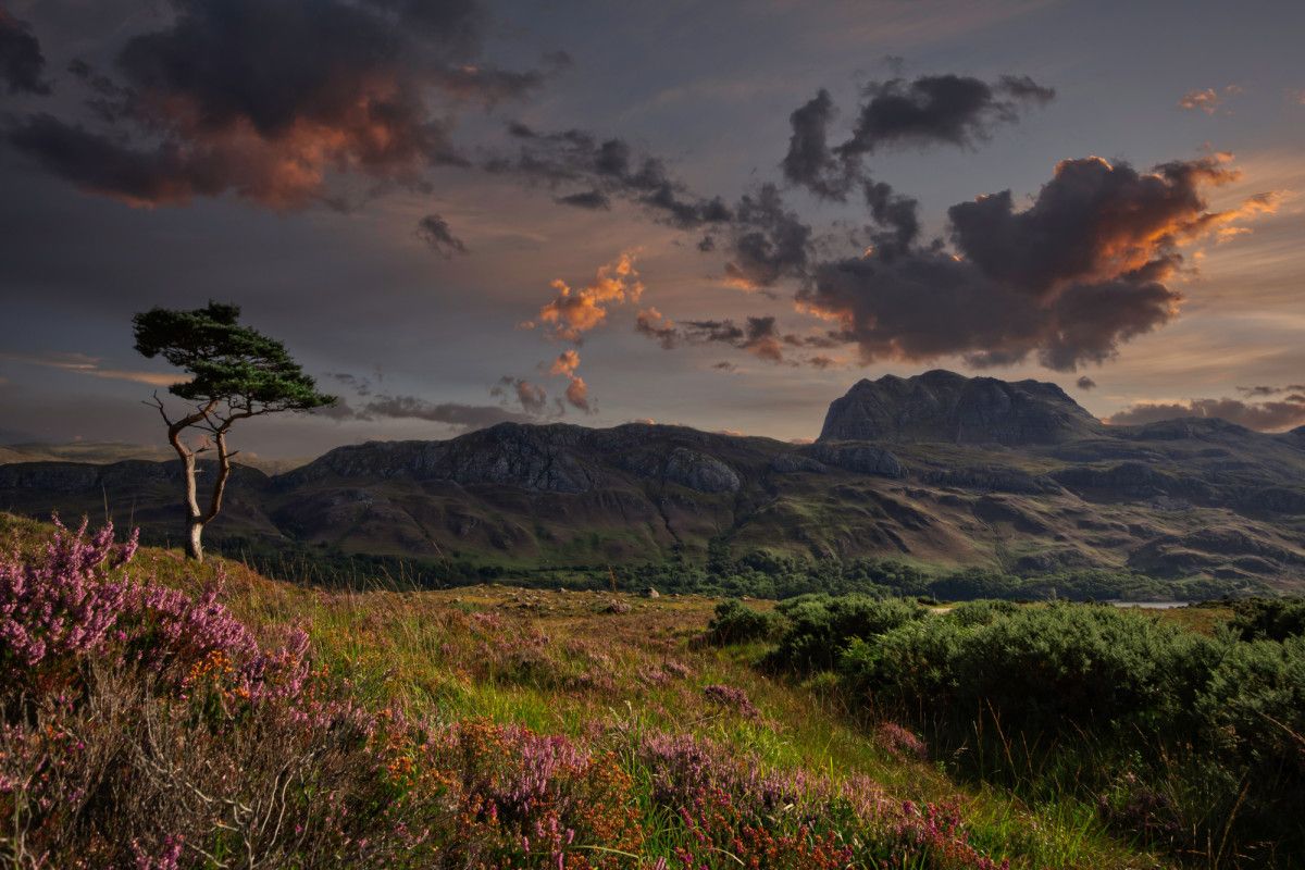 Wester Ross