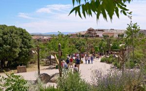 Puy du Fou España supera los seis millones de visitantes desde su apertura