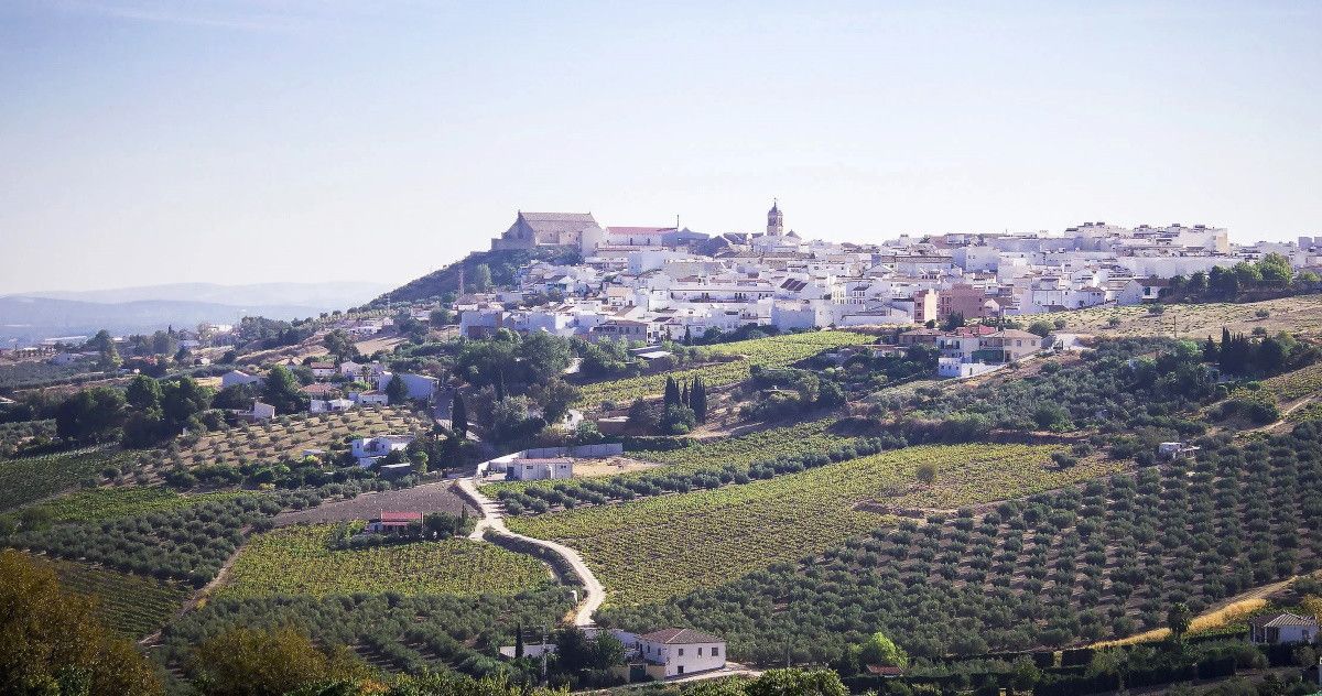 Qué municipio andaluz tendrá el título de Ciudad Española del Vino 2027