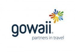 Webinar Hosteltur impartido por Gowaii Vacation Holding