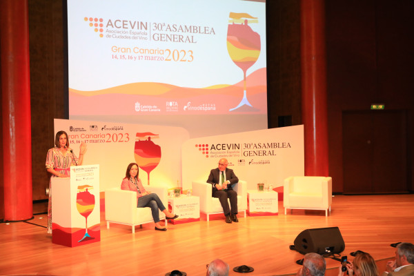 La Ruta del Vino en la Agenda Ecoisla 2030: sostenibilidad, economía y cultura